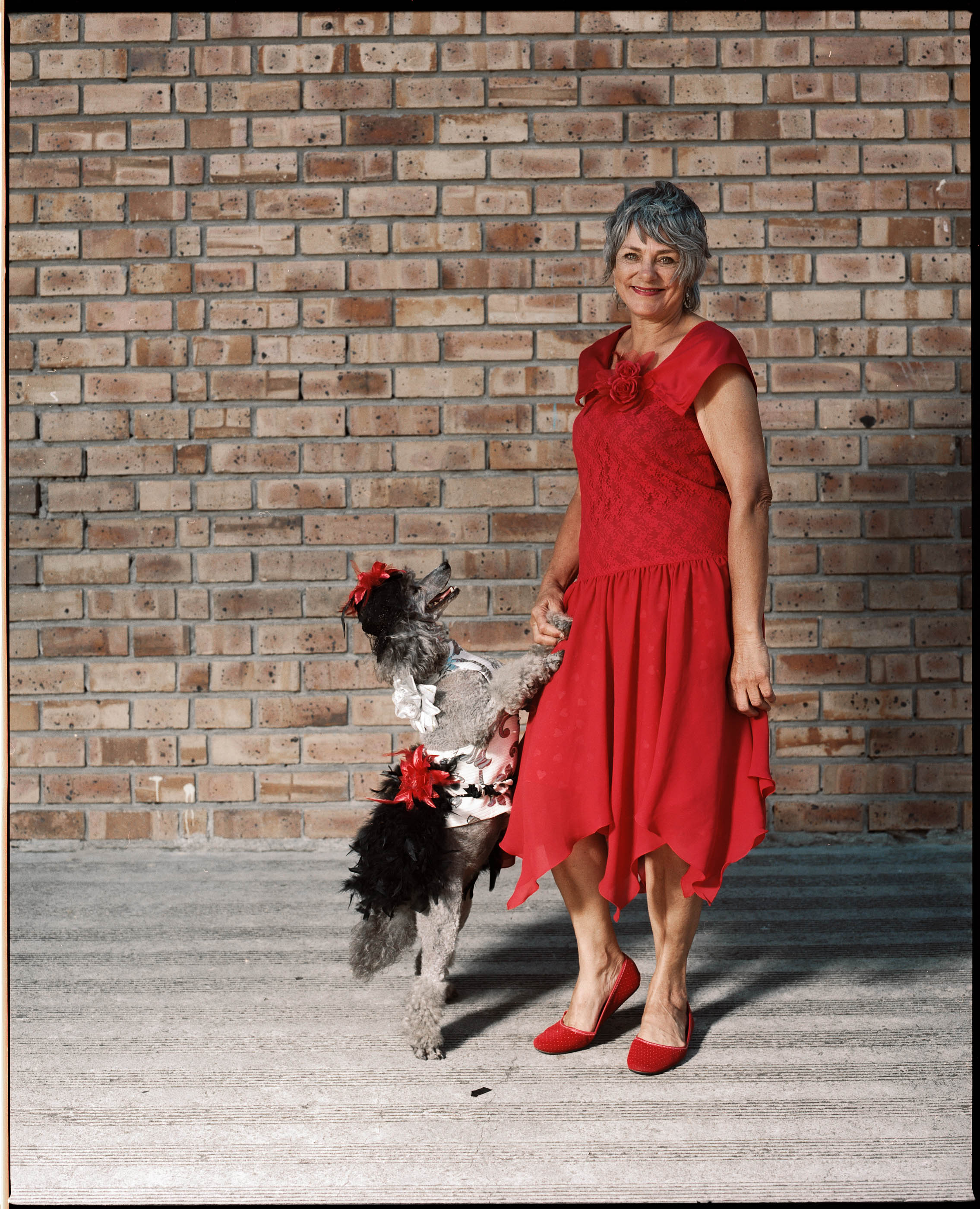 gerhardt coetzee dog show 4(Christine Welsch  Lucy   French Poodle) 